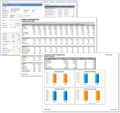 Profitability FIT Reports Collage