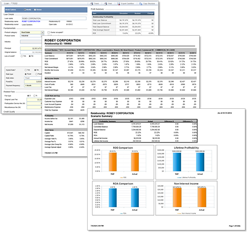 Profitability FIT report screens
